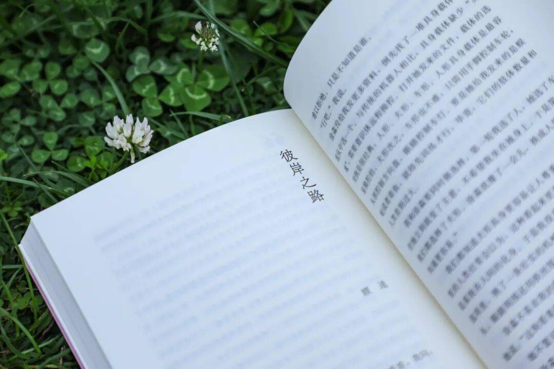 她們的講述，構建著女性的“宇宙與大自然”