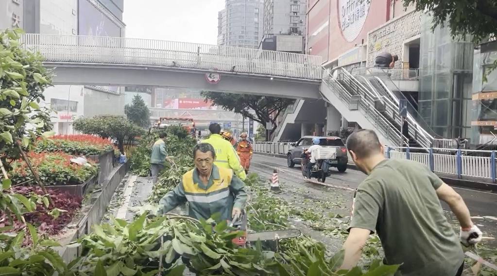 重慶城市管理部門快速清理倒伏樹木，本輪強降雨應對工作有序收尾