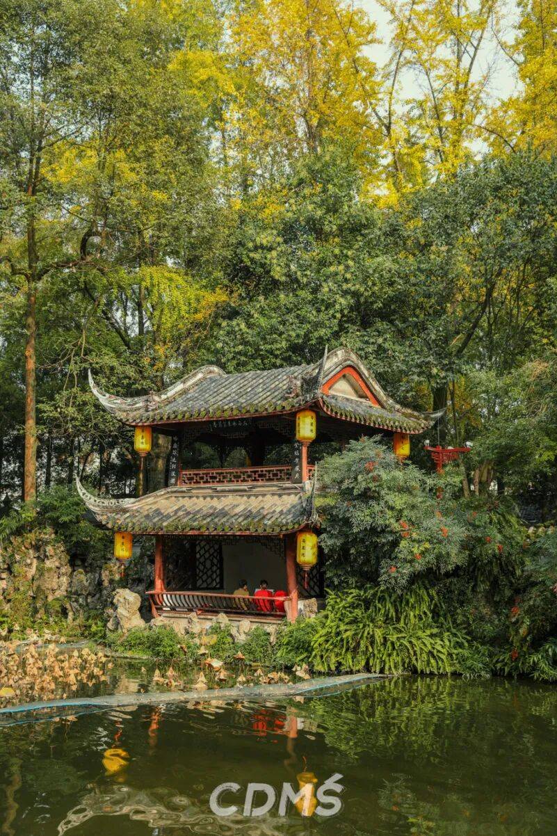 去崇州吃到撐，美食地圖更新了！