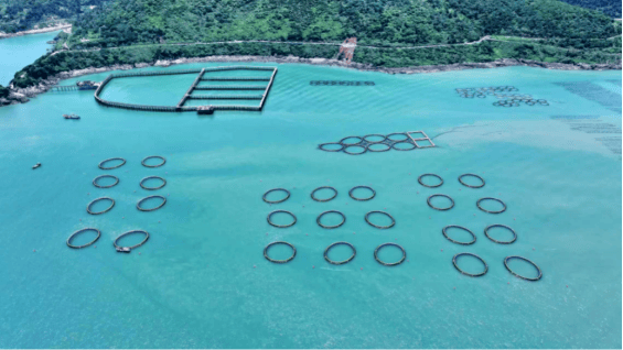 浙江台州，一座被美食浸潤的幸福之城