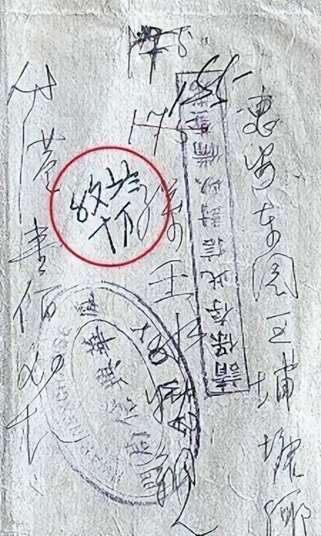 廈門收藏愛好者提供一批華僑老物件，專家破解“時光密碼”