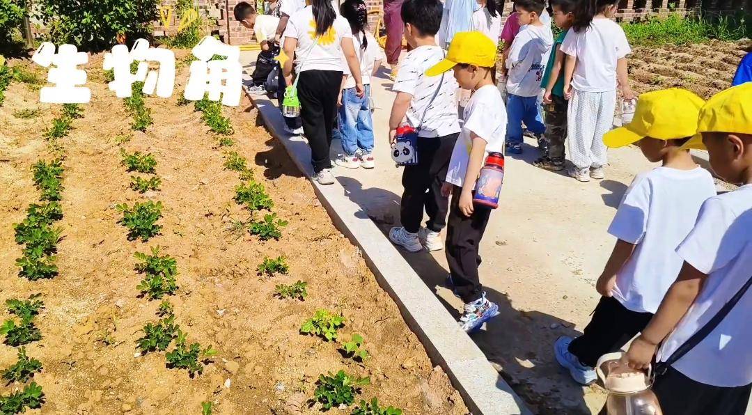 原創幼小銜接零距離 探秘小學助成長——濟南市萊蕪區方下街道方下中心幼兒園開展小學參觀研學活動