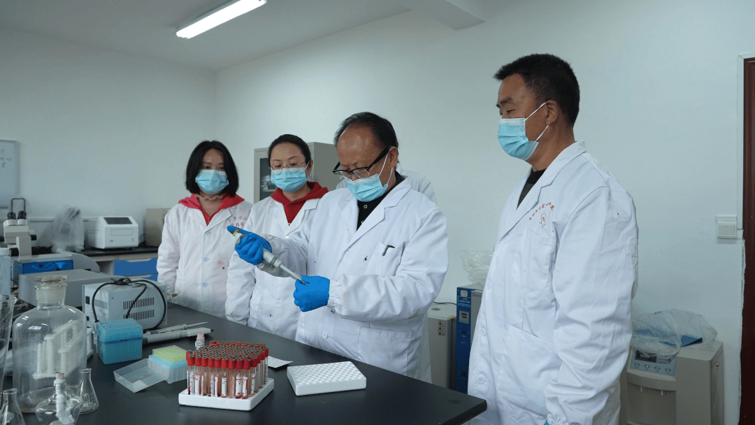 畢節科技特派員答好科技賦能鄉村振興答卷