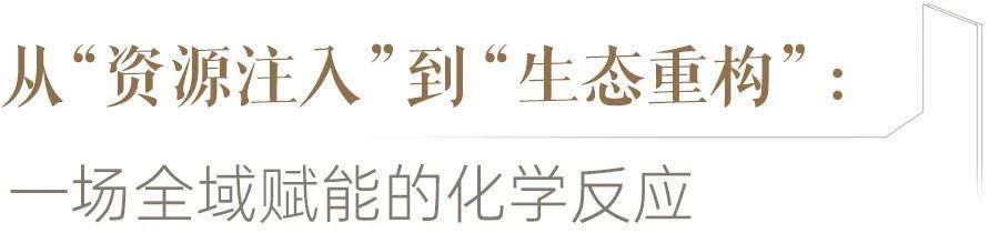 川師領辦，高新區這所小學與大學的兩年共生記