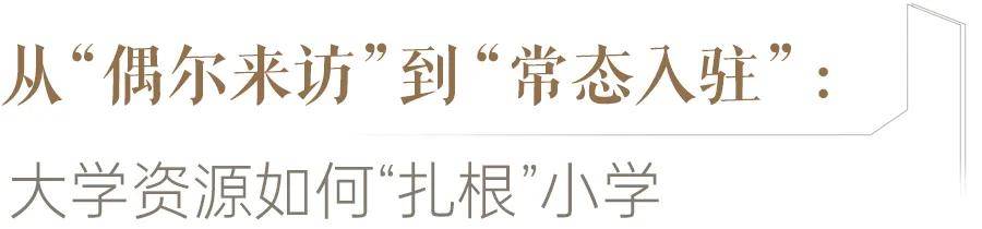 川師領辦，高新區這所小學與大學的兩年共生記