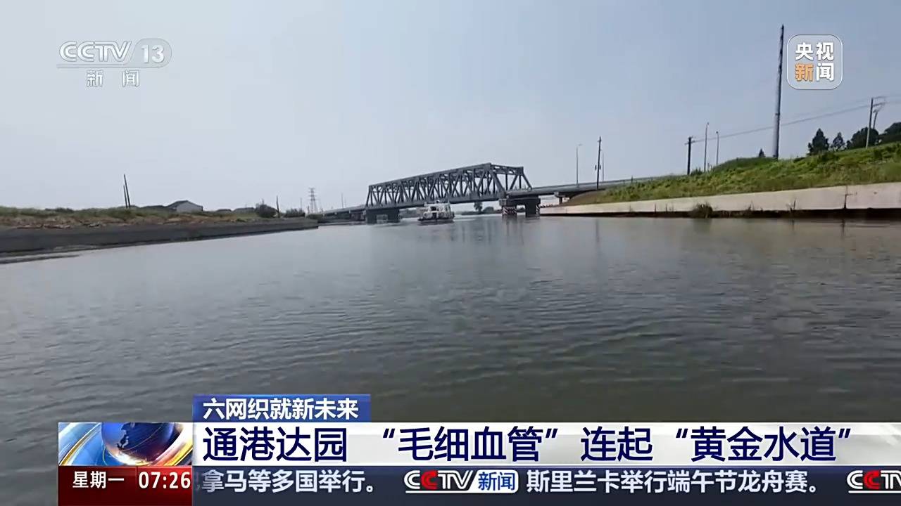 智慧航運+通港達園，多措並舉加速建設物流網