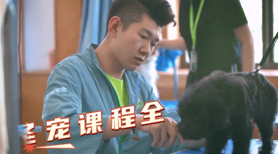 擇校指南｜寵物美容師去哪裡學？行業標杆聖寵寵物美容培訓深度解析