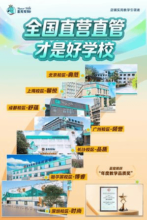 擇校指南｜寵物美容師去哪裡學？行業標杆聖寵寵物美容培訓深度解析