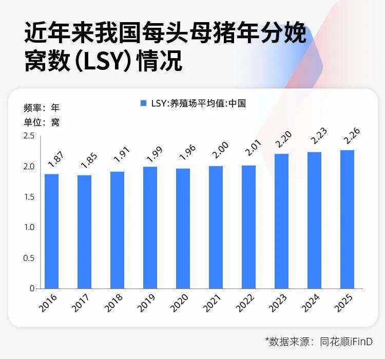 豬價創17年新低，養豬的邏輯徹底變了！專家：豬週期已變形，“地板價”不會再現，反轉拐點也不會來
