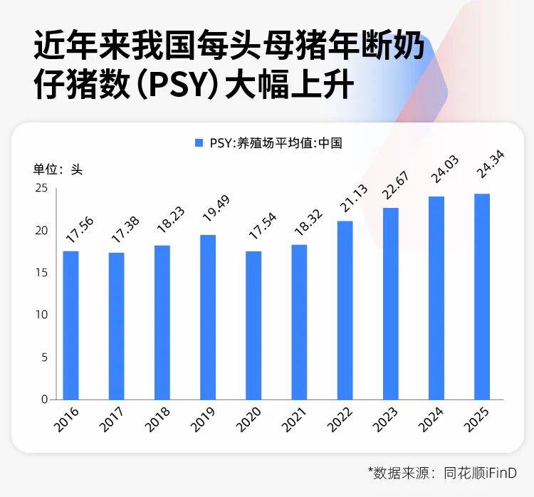 豬價創17年新低，養豬的邏輯徹底變了！專家：豬週期已變形，“地板價”不會再現，反轉拐點也不會來