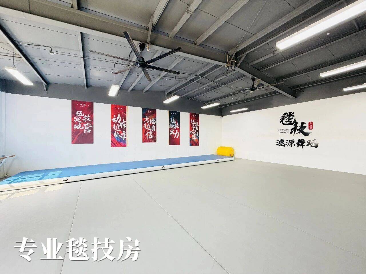 漉源舞蹈艺考：舞蹈艺考毯技训练科学安全的培训机构