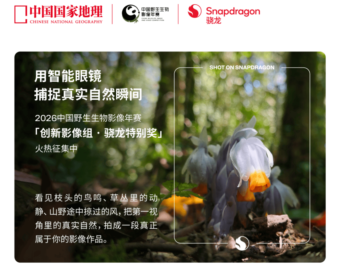 从手机到AI眼镜，高通和中国国家地理正在打开自然影像的第一人称时代